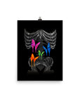 Butterflies Poster Print