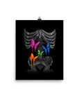 Butterflies Poster Print